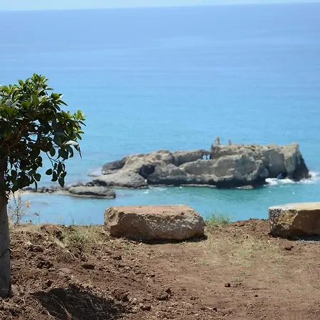 D'aquino Tropea
