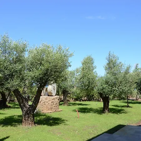 Bed & Breakfast D'aquino Tropea