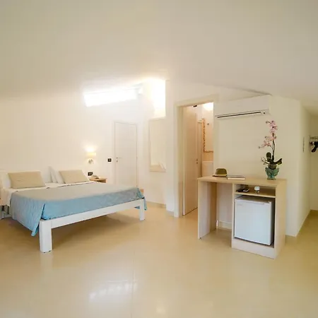 D'aquino 4*