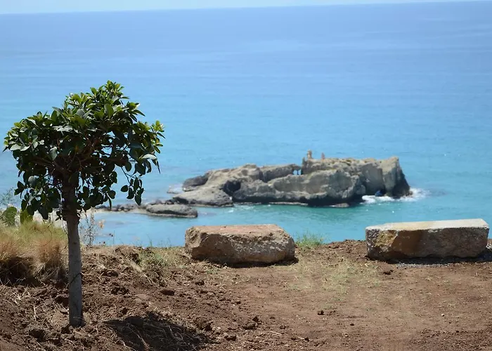 D'aquino טרופאה