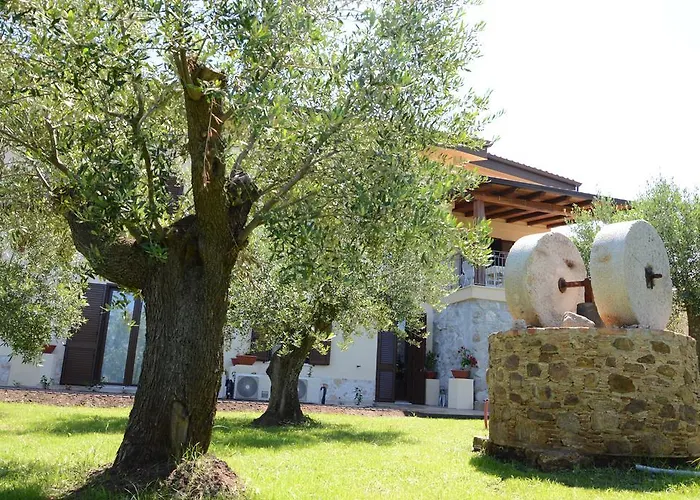 D'aquino טרופאה