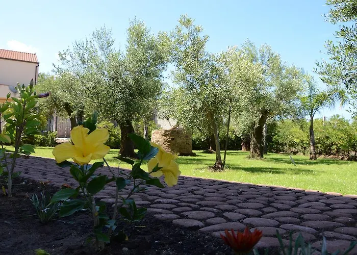 לינה וארוחת בוקר D'aquino טרופאה