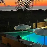 D'aquino 4*