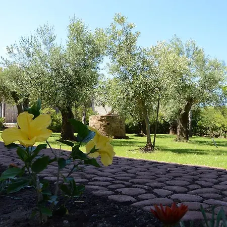 Bed and breakfast D'aquino Tropea